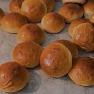 Bolle